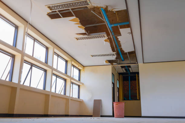Best Fire Damage Restoration  in Lake Lotawana, MO